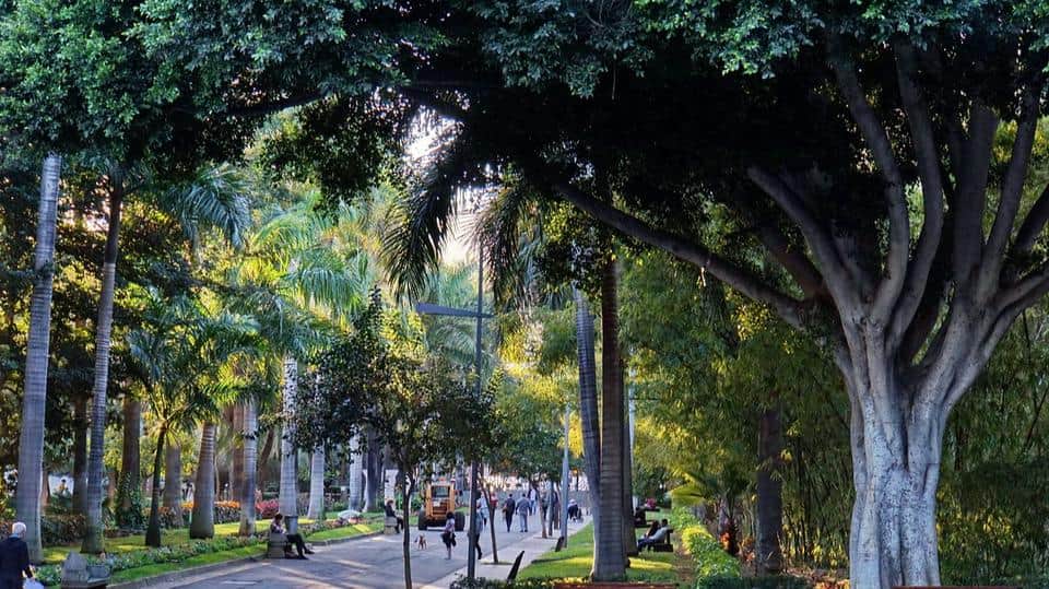 Rambla de Santa Cruz
