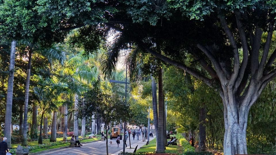Rambla de Santa Cruz