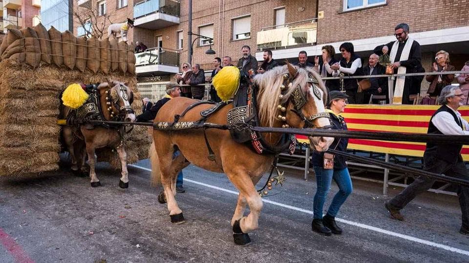 Festa de Sant Antoni Abat a Santa Perpètua de Mogoda en Santa Perpetua De Mogoda