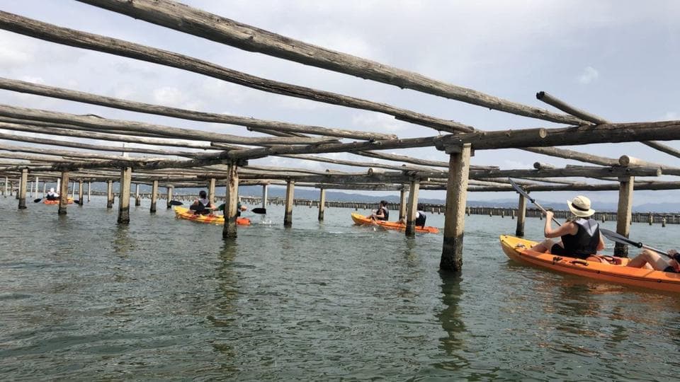 Caiac a les muscleres de la Badia del Fangar en Deltebre