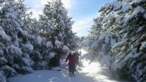 Raquetes de neu Port del Comte en La Coma