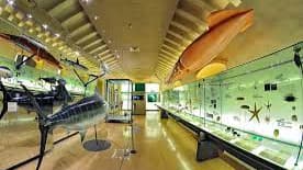 Museum of Nature and Man