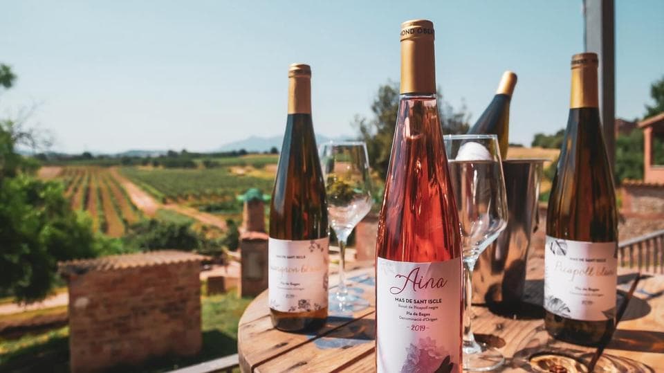 Celler Mond Obert en Sant Fruitos De Bages