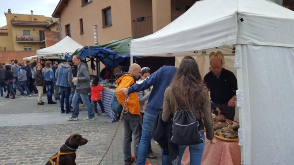 Fira dels Picapedrers en Castellfollit de la Roca