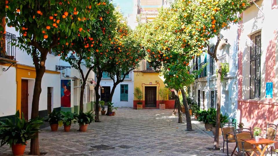 Santa Cruz de Sevilla