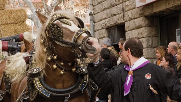 Festa dels Tres Tombs d'Anglesola en Anglesola