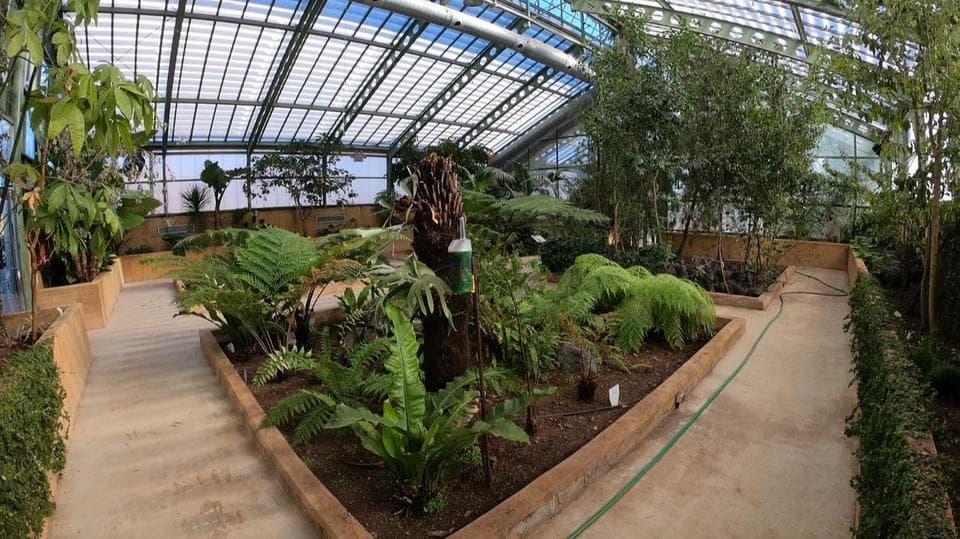 Botanical Garden of Castilla-La Mancha