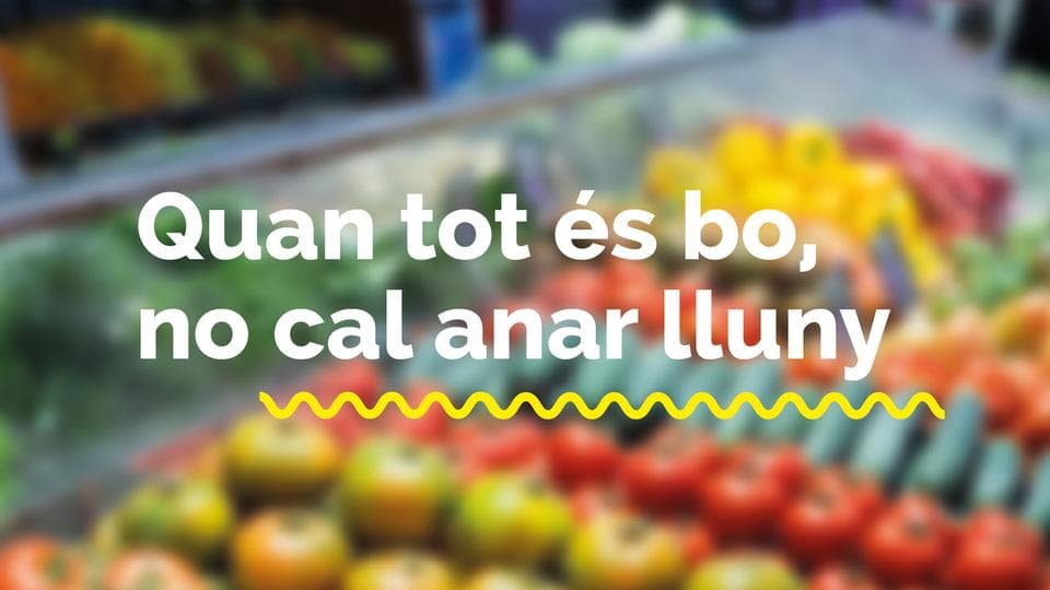 CONDIS - Qualitat i Varietat en Vilanova I La Geltru