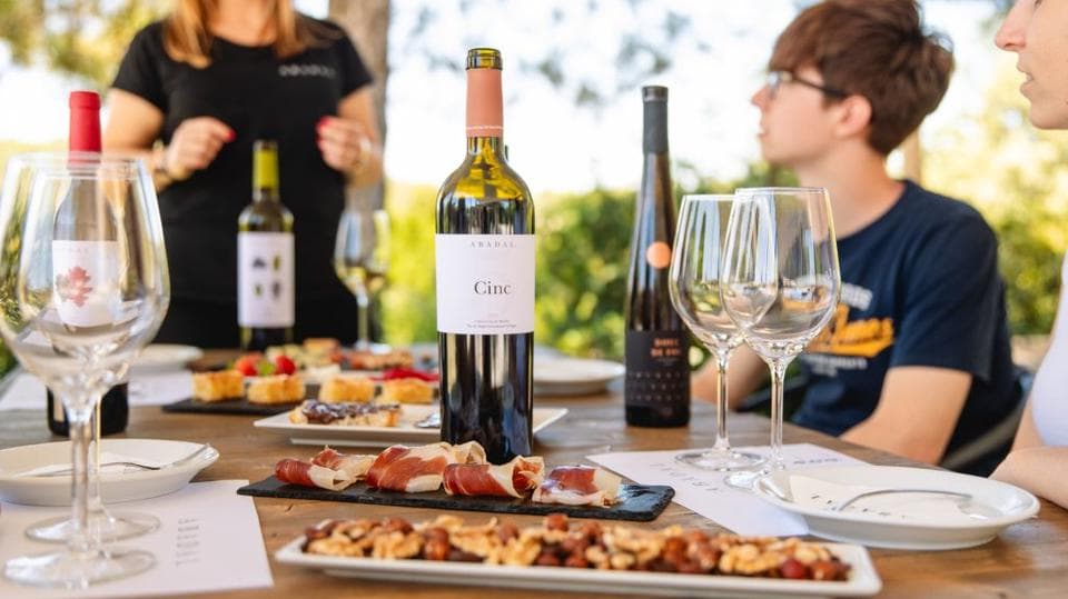 Visita amb degustació de contrastos en Avinyo