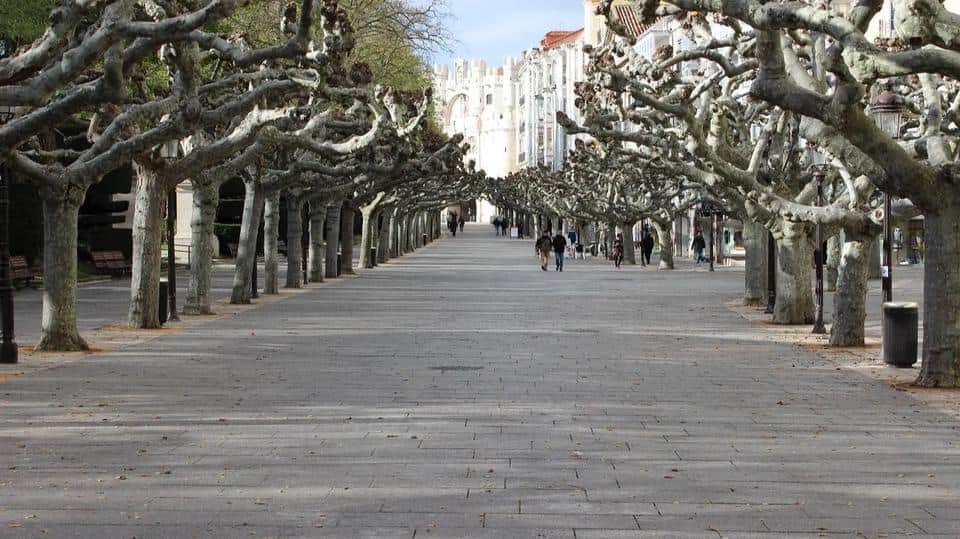 Promenade Burgos Espolón