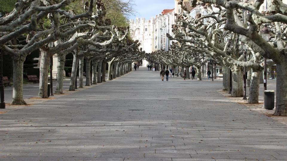 Burgos Espolón Walk