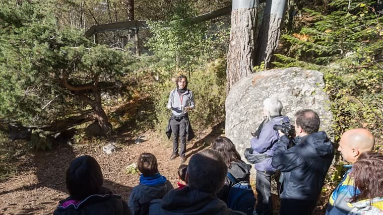 Experimentem amb la natura en Son