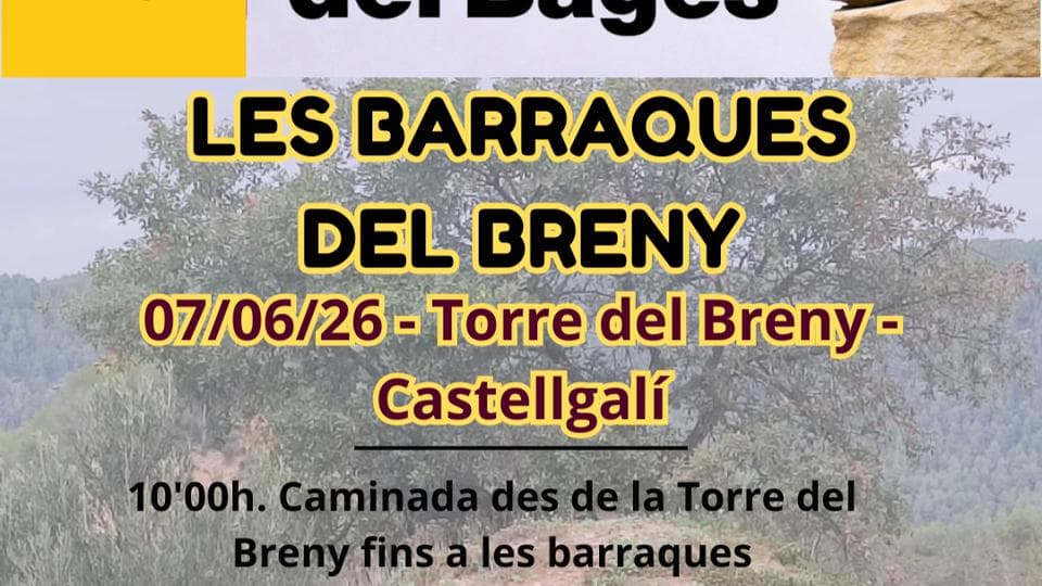 LES BARRAQUES DEL BRENY en Castellgali