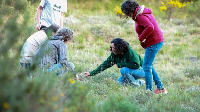 SORTIDA BOTÀNICA: DESCOBRINT PLANTES LOCALS DE PRIMAVERA en el Tec