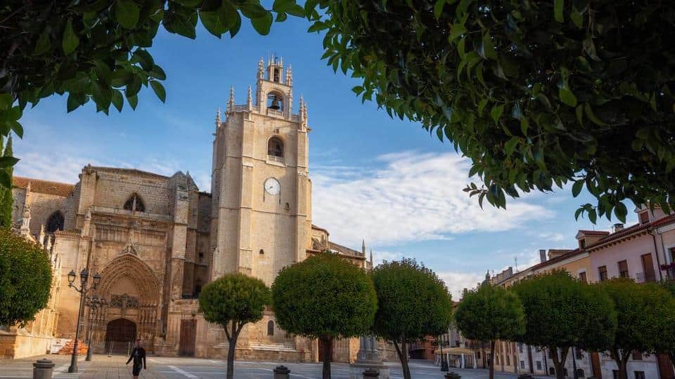 Cathedral of San Antolín of Palencia