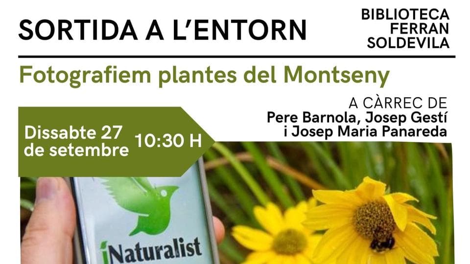 Fotografiem plantes del Montseny en Santa Maria De Palautordera