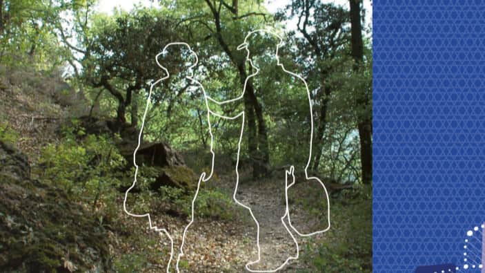 Escape routes from the Pyrenees