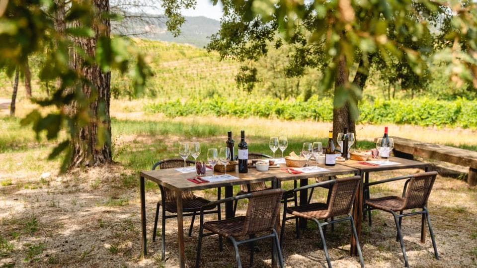 Brunch entre vinyes en Avinyo