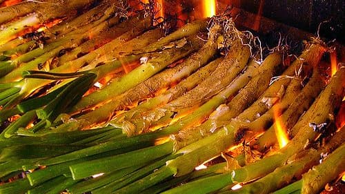 Calçotada popular a Sidamon en Sidamon